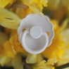 SILICONE PACIFIER BLOCK 2 PACK DAISY BAKED CLAY/HEATHER 0+