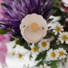 SILICONE PACIFIER BLOCK 2 PACK DAISY CHAMOMILE/HONEY G. 6+