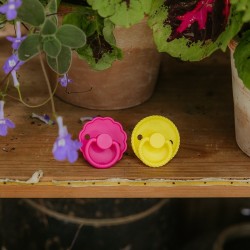 SILICONE PACIFIER BLOCK 2 PACK ROPE/DAISY SUNFLOW./FUCHSIA 6+
