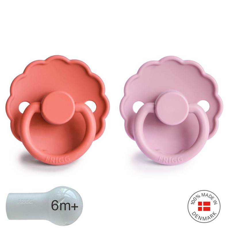 SUCCHIETTO B. SILICONE 2 IN 1 DAISY POPPY/LUPINE 6+