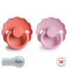SUCCHIETTO B. SILICONE 2 IN 1 DAISY POPPY/LUPINE 6+