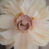 LATEX PACIFIER BLOCK 2 PACK DAISY BLUSH/COTTON CANDY 0+