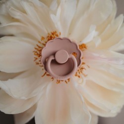 PACK 2 CHUPETES BLOCK LATEX DAISY BLUSH/COTTON CANDY 6+
